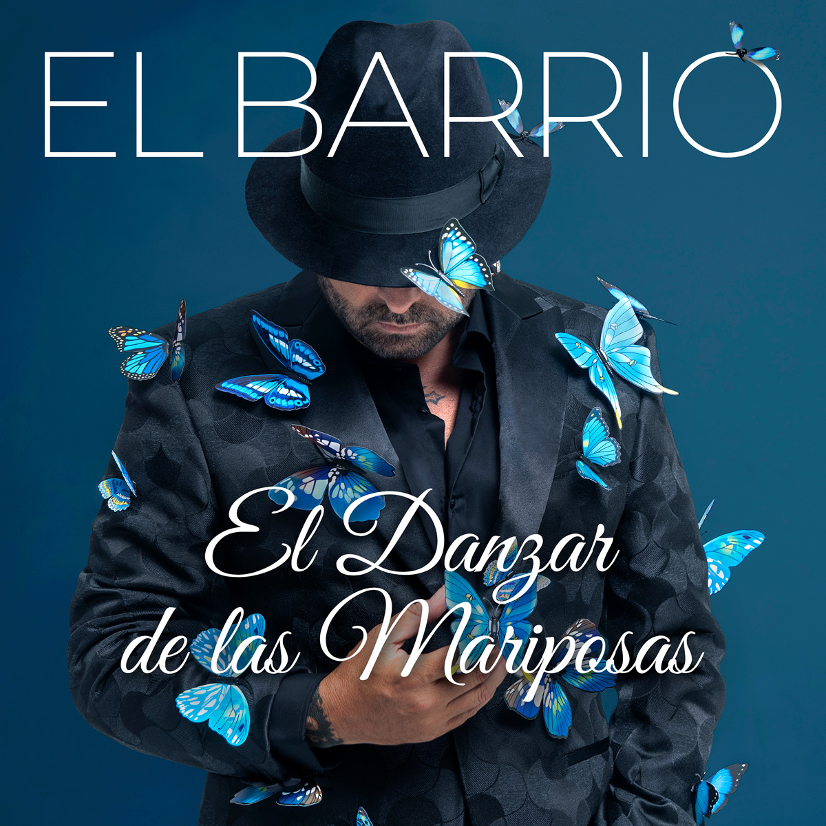 Imagen del album - El Danzar de las Mariposas